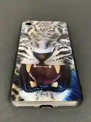 Чехол для iPhone из гибкого пластика "Волк. Барс"