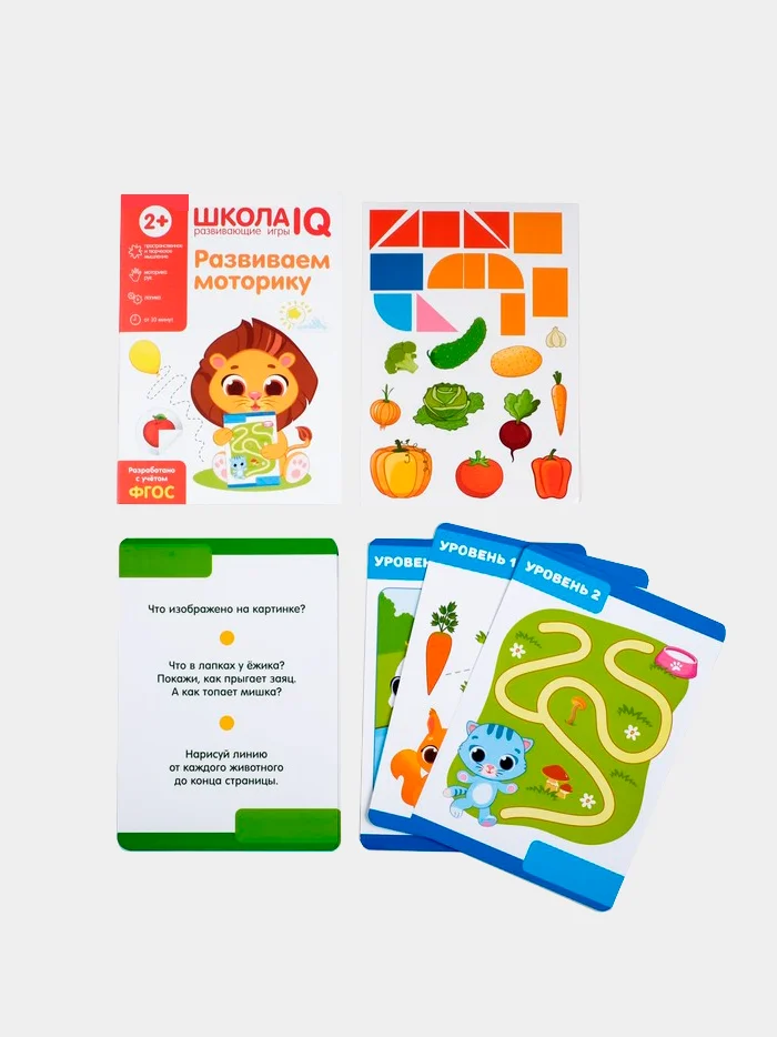 Развивающие игры "Школа IQ для равития моторики"