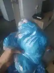 Голубой улиц сезам (7 видов)