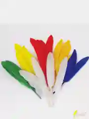 Перья декоративные прямые, 10-15 см, 24 шт, ассорти