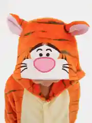 Кигуруми