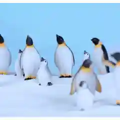 Коричневый миниатюрные фигурки, сувенир, пингвин, 2 шт