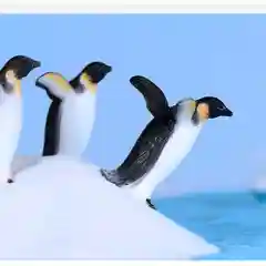 Коричневый миниатюрные фигурки, сувенир, пингвин, 2 шт