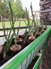 Вертикальный огород, 3 кашпо, зеленый