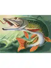 Алмазная мозаика "Щука", 30 х 40