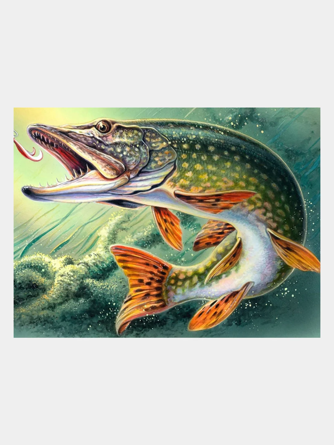 Алмазная мозаика "Щука", 30 х 40