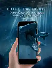 Защитное стекло 10D для моделей Apple iPhone 11, 11 Pro, 11 Pro Max, XS, XS Max, XR, X, 7/8 Plus, 7/8, 6/6 s, 6 plus/6 s plus