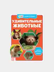 Карамельный мини-энциклопедии "Познаём всё вокруг"