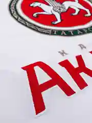 Джерси без № и фамилии Реплика