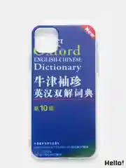 Чехол для Apple iPhone 11 словарь Oxford