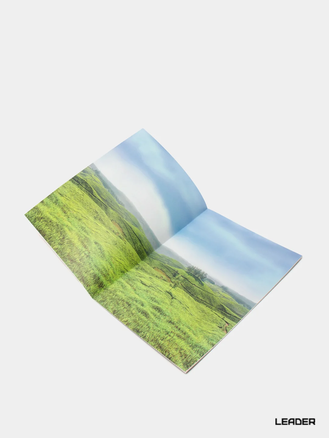 Книга 12 животных "Индия и Артктика"