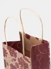 Подарочный пакет под бутылку "Виноградная лоза", крафт, 12 х 37 см, 2 штуки