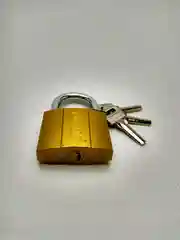 Замок навесной, золотой, повышенной защиты, 50 мм