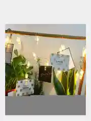 Белый led гирлянда, светодиодная