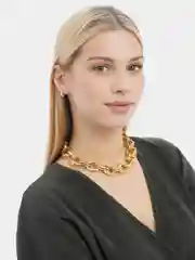 Цепочка с большими звеньями Сoint