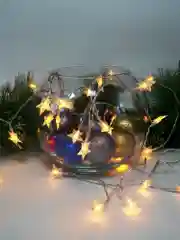 Гирлянда с насадкой "Звезда", 6 и 10 м