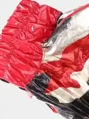 Дождевик для собак ForMyDogs, женский