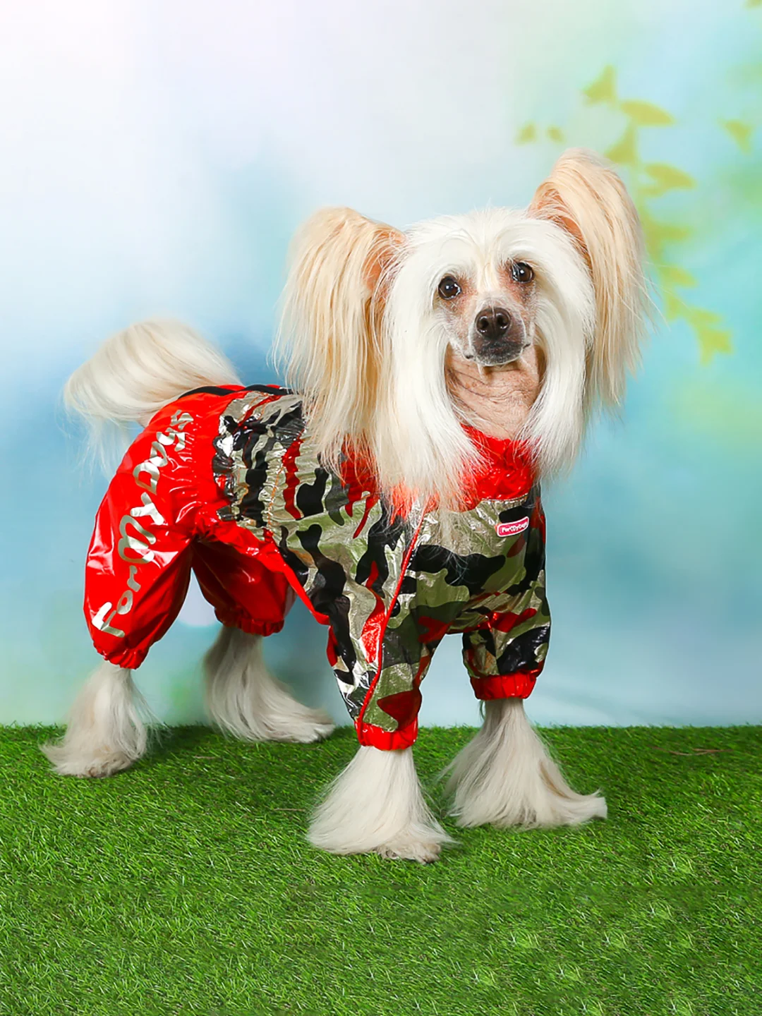 Дождевик для собак ForMyDogs, женский