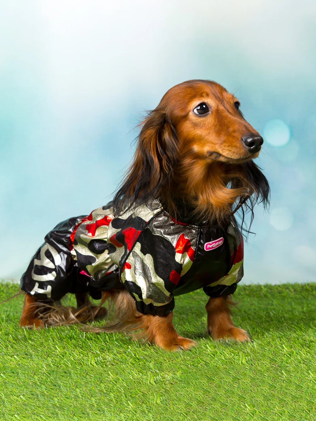 Дождевик для такс ForMyDogs