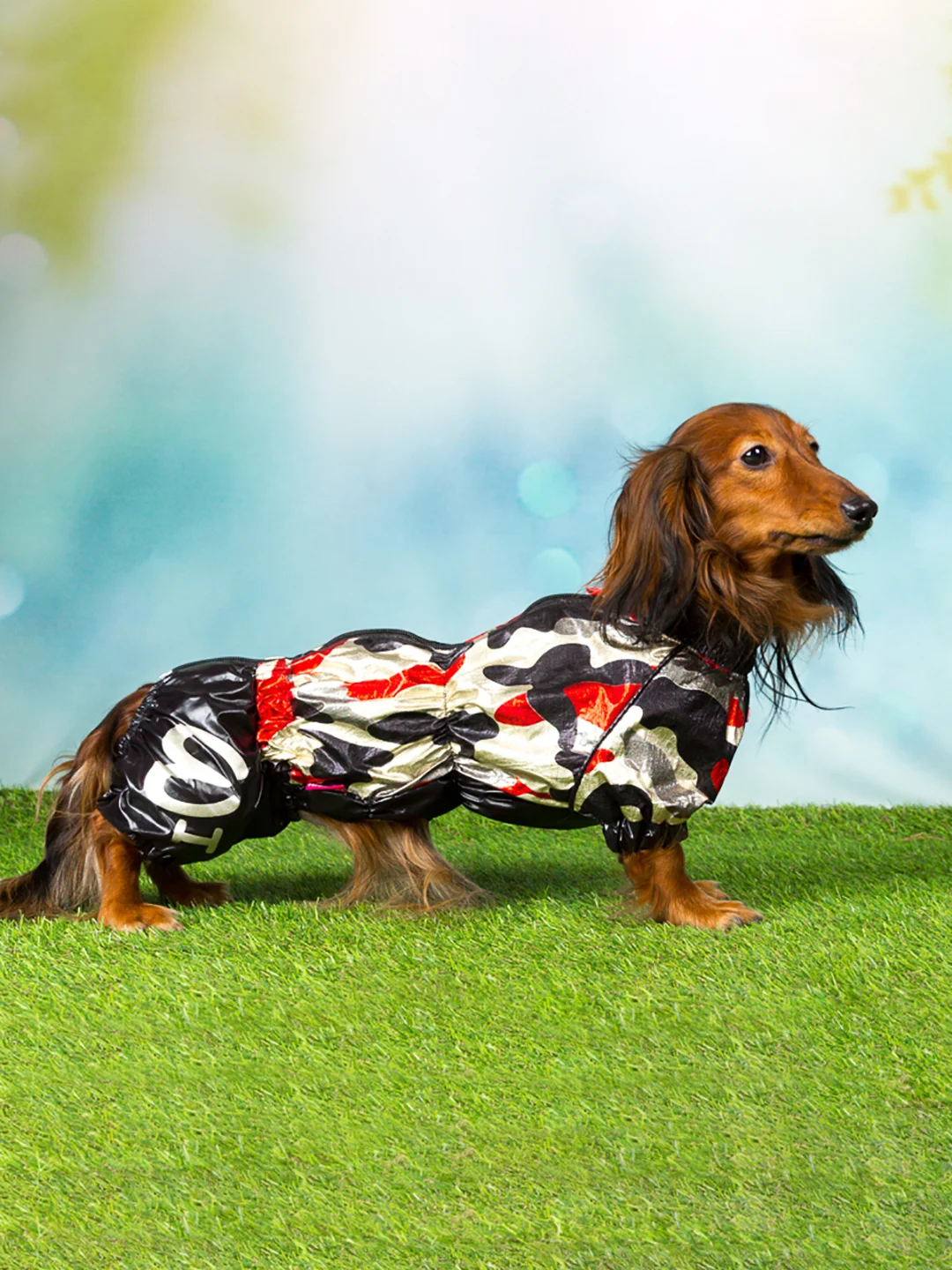 Дождевик для такс ForMyDogs