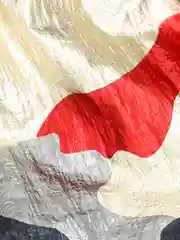 Дождевик для такс ForMyDogs