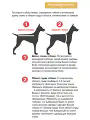 Пыльник для собак ForMyDogs