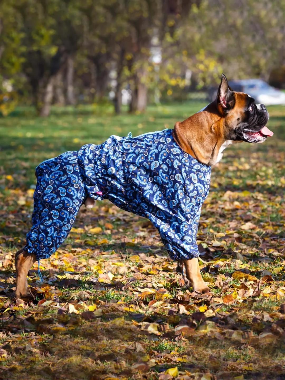 Пыльник для собак ForMyDogs, синий