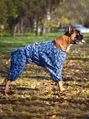 Пыльник для собак ForMyDogs, синий