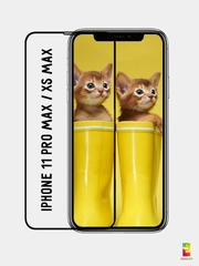 Защитное стекло для iPhone 11 Pro Max / XS Max