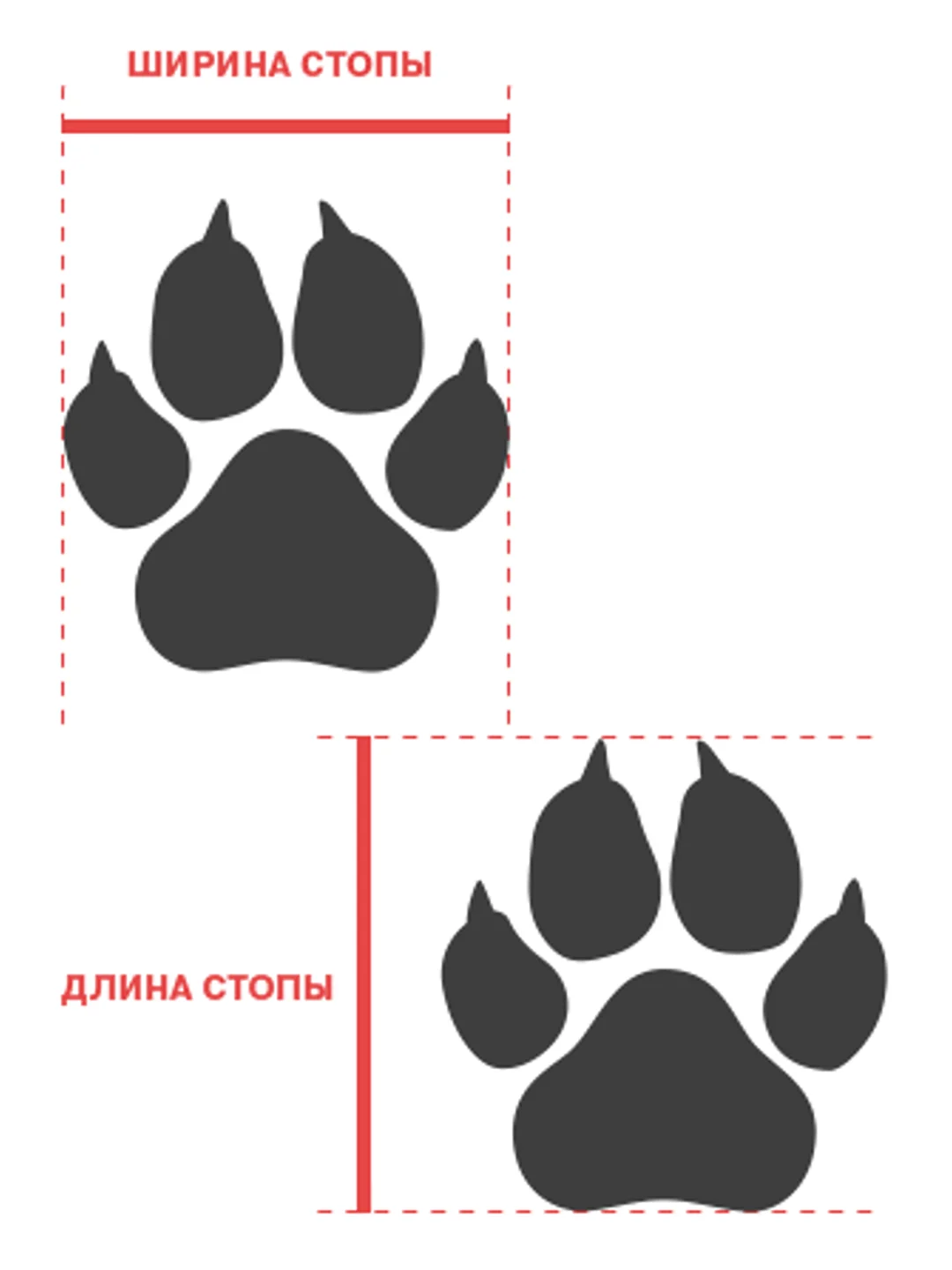 Сапоги для собак ForMyDogs, из ПВХ, на искусственном меху