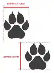 Сапоги для собак ForMyDogs, из ПВХ, на искусственном меху