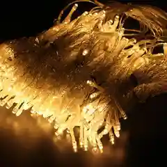 Лимонный гирлянда занавески, 3 х 3 м, 300 ламп