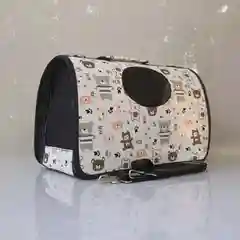 Угольный переноска для кошек и собак мелких пород, с принтом, 40 х 21 х 27 см