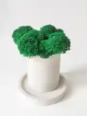 Кашпо с блюдцем, гипс