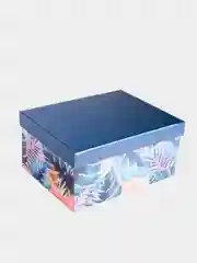Коробка складная Tropical, 31,2 х 25,6 х 16,1 см