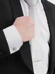 Набор Мужской галстук , запонки, зажим, платок в подарочной упаковке Arni