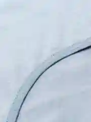 Женские хлопковые трусы "Полярный медвежонок"