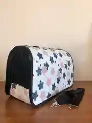 Золотой переноска для кошек и собак мелких пород, с принтом, 40 х 21 х 27 см