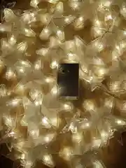 Гирлянда штора "Занавес Звезды" светодиодная (LED), 220В, штора 2,2 х 1 м