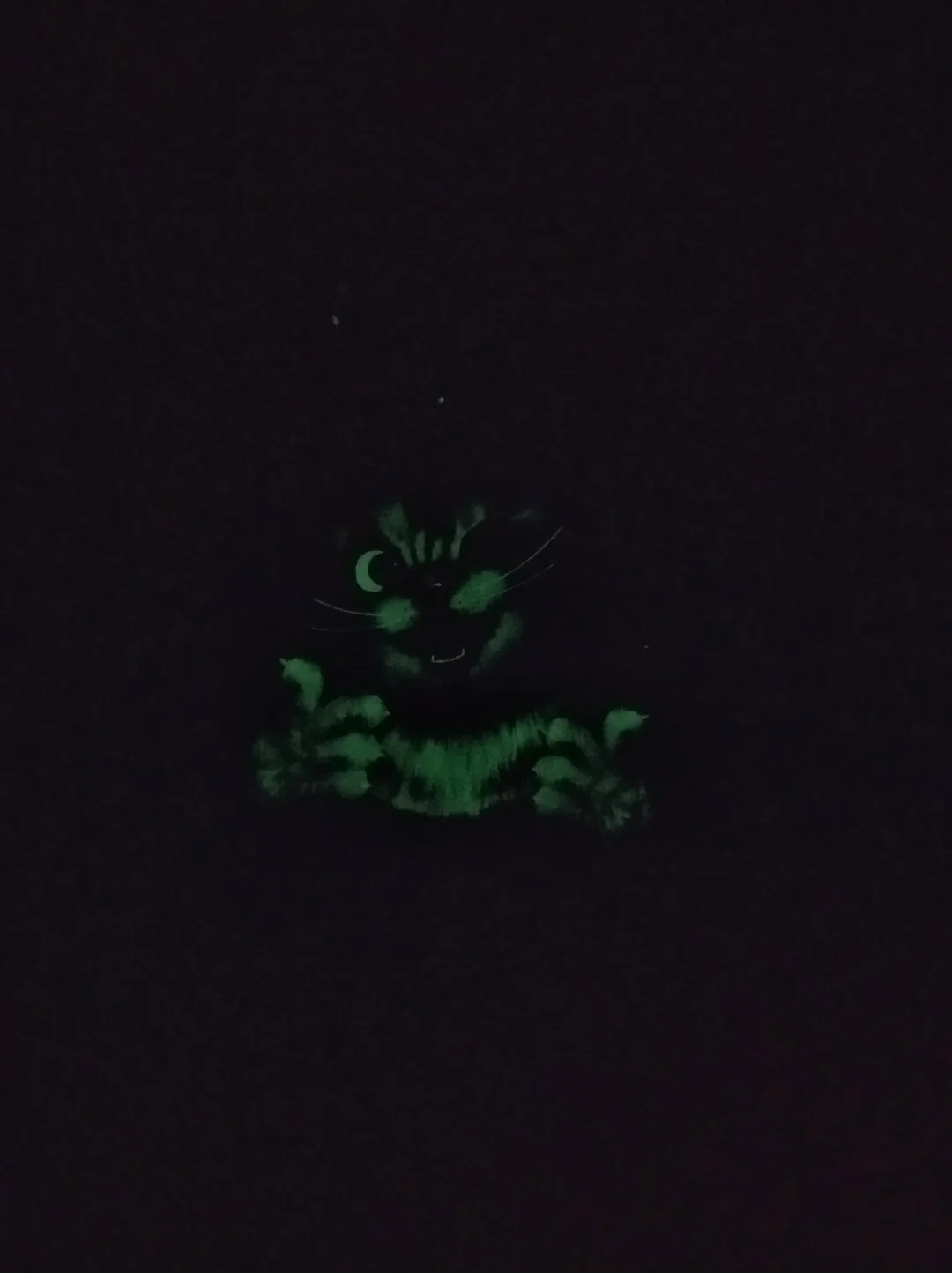 Футболка Кошечка