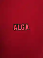 Худи ALGA