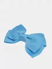 Морской заколка