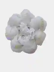Белый сеточка