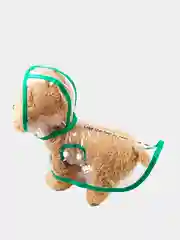 Зеленый дождевик с капюшоном для собак и кошек