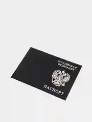 Черный обложка для паспорта, выделанная кожа