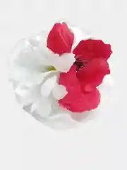 Красный бантик