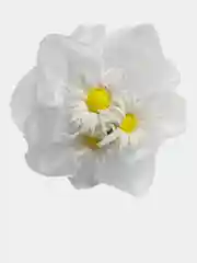 Белый бантик