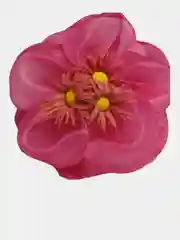 Красный бантик