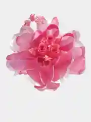 Коралловый бантик