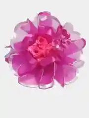 Фуксия бантик